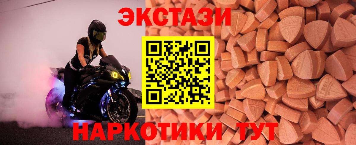 Хабаровск  Ecstasy Philipp Plein  Вход с VPN 
