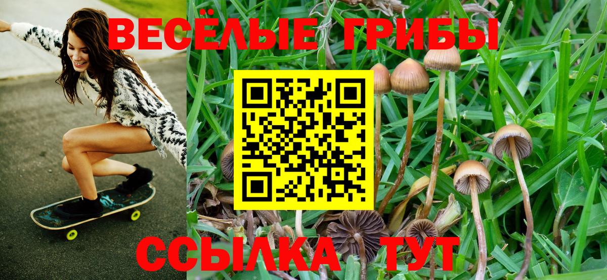 Галлюциногенные грибы GOLDEN TEACHER Хабаровск
